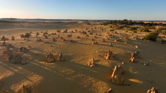 Aerial view of the Pinnacles Desert, showcasing the stark contrast between the golden sands and the bizarre rock formations, Nambung, Western Australia, Australia.