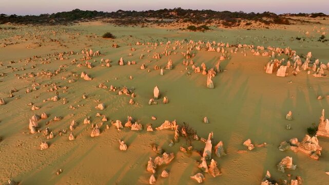 Aerial view of the Pinnacles Desert shows a captivating landscape, with towering limestone formations casting long shadows across the sandy terrain, Nambung, Western Australia, Australia.