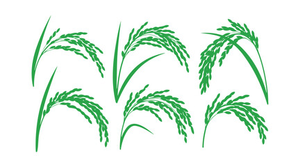 Set of rice ears illustrated in green silhouette style
