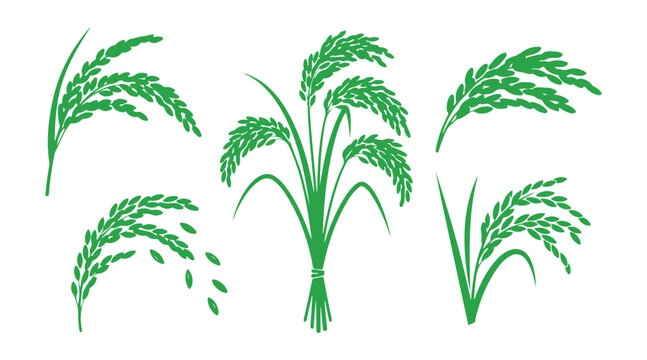 Illustration collection featuring green silhouettes of rice ears

