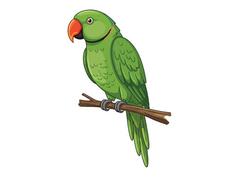A bright green parrot with an orange beak perches on a branch, looking to the left with a curious expression.