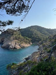 Scenic view of rugged cliffs and clear turquoise sea surrounded by lush greenery