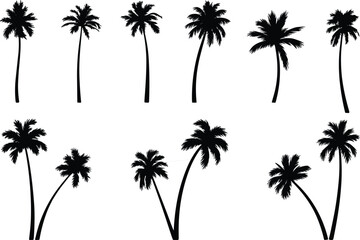 Flat vector silhouette set of 9 palm trees, black tropical tree shapes with curved trunks, fronds, isolated for design use