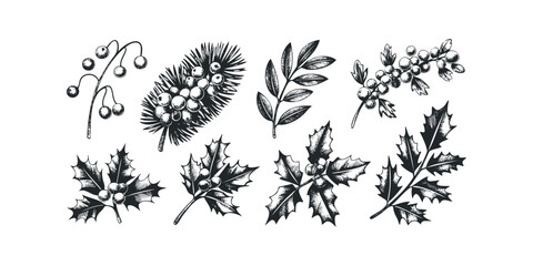Black and white sketch of assorted winter botanicals