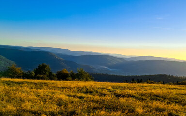 Meadow on a Blotnia Mountain. Beskides.