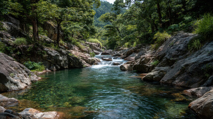 Tranquil river flows gently through the lush green forest, with sunlight filte through the trees and reflecting on the clear water, creating a serene scene.