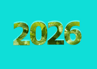 Numbers 2026 with green mint leaves inside on light blue background. New Year card