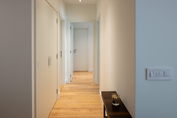 Entrance corridor with white closet