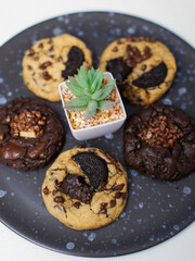 Close up freshly baked homemade chocolate soft cookies mixed toppings biscuits wafer chocolate chips on black ceramic plate decorate with little tree dessert snack bakery yummy delicious tasty concept