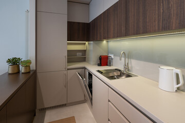 Kitchen interior in modern apartment