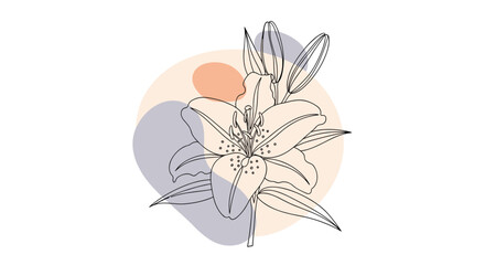 Elegant floral line art design of a lily with abstract geometric shapes for backgrounds, invitations, and decorative purposes.