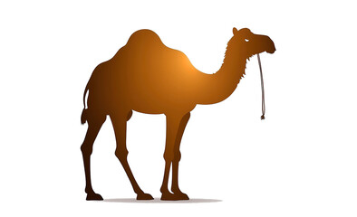 Camel silhouette in side view, flat style, perfect for logo or design, transparent background.