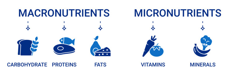 Nutrients icon set containing micronutrients and macronutrients types vector icons