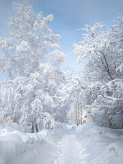 Snowy winter street in Siberia with frosty trees under bright blue sky
