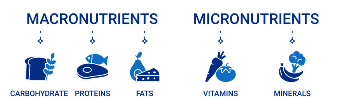 Nutrients icon set containing micronutrients and macronutrients types vector icons