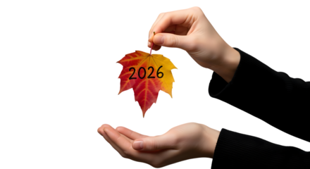Hands holding a red and yellow maple leaf with the year 2026 on a black background Keywords: 2026, year, new year, autumn, fall, leaf, maple leaf isolated on a transparent background