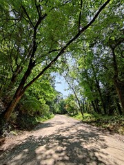 Appalachian country road