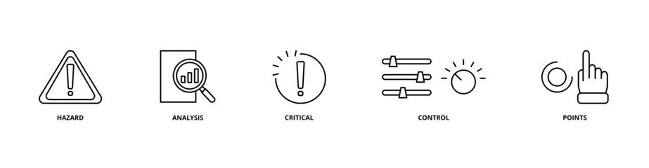 HACCP icon set with hazard, analysis, critical, control, and points