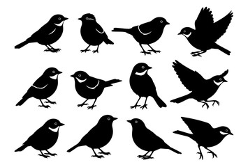 Set of black bird silhouettes in various standing and flying poses