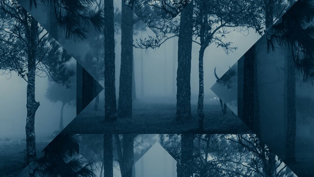 Geometric Transition 09