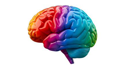 Colorful glossy human brain with rainbow gradient and detailed convolutions, cutout, PNG isolated on white or transparent background
