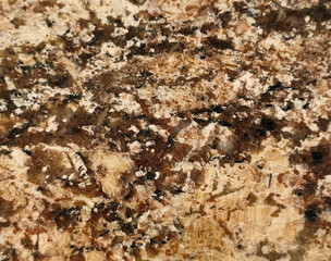 Close-up of polished granite stone surface with natural brown, beige, and black mineral patterns.