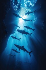 Obraz premium A group of sharks swimming gracefully in the deep blue ocean illuminated by sunlight filtering through water near an underwater cave