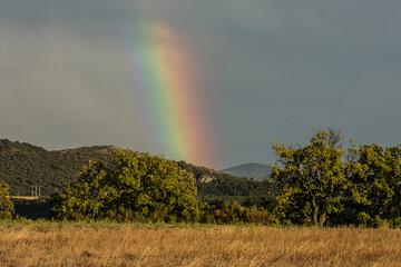 landscape with green hills and a mown cornfield and a rainbow in the dark sky at sunset in the French Verdon region