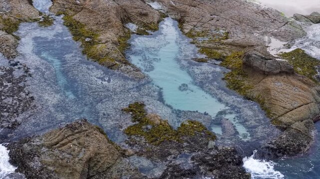 Overhead drone view of vibrant tide pools along a rocky coastline, showcasing shallow clear water, seaweed, and the natural patterns of the intertidal zone during low tide