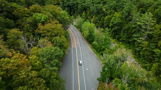 Aerial view of car driving on lush Mohawk Trail, Massachusetts road