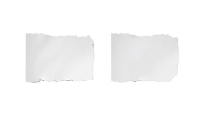 Fototapeta premium Two Blank Torn Paper Rectangles Ideal for Notes, Messages, or Creative Designs