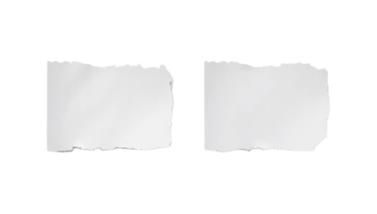 Two Blank Torn Paper Rectangles Ideal for Notes, Messages, or Creative Designs