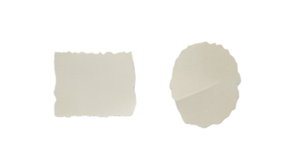 Torn Paper Pieces A Collection of Two White Fragments Isolated on a Clean Background