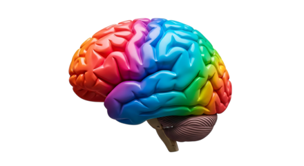 Human Brain with Vibrant Rainbow Color Gradient and Cerebellum Detail, cutout, PNG isolated on white or transparent background