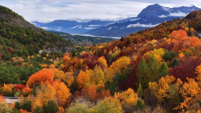 Aerial autumn landscape in the French Alps, colourful autumn trees along a road in the mountains, road trip in Europe in the fall