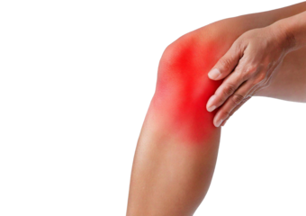 Inflamed His knees. isolated on transparent or white background