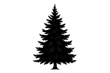 Christmas tree silhouette on transparent background providing a versatile vector element for design projects