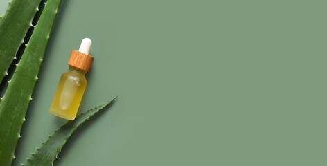 Bottle of essential oil and aloe vera leaves on green background with space for text, top view