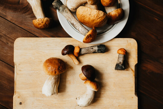 Fresh boletus mushrooms on rustic wooden board