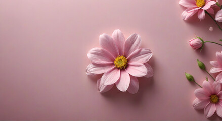 pink flowers on a wooden background