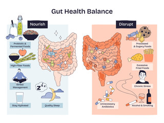 Gut health balance depicted through a split diagram showing healthy vs disrupted microbiome, key objects, intestines, probiotic foods, processed sweets. Doodle style diagram
