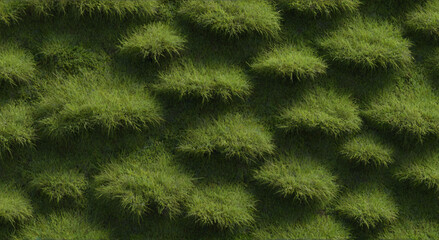 green grass background