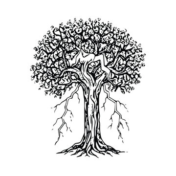 Engraving Vintage Tree sketch design vector art Illustration