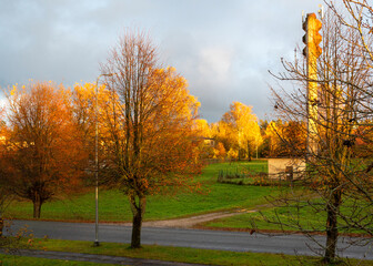 calm autumn landscape, park in autumn colors, colorful tree leaves cover the ground,