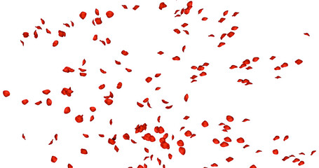 Red rose petals sway in the wind. Isolated on alpha background. 3D rendering.