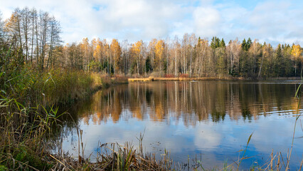 autumn landscape, lake shore, day by the lake, colorful trees reflecting in the lake water, Vaidava Lake, Latvia