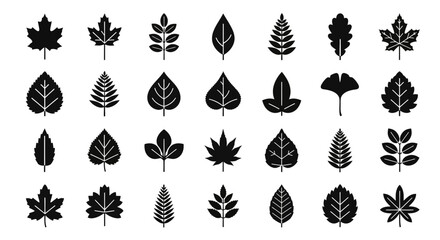 Diverse collection of black leaf silhouette icons representing various tree and plant species. Simple flat vector graphic set for botanical and nature designs