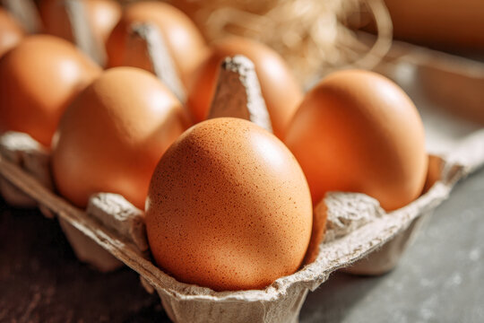 Fresh brown eggs arranged in a carton with natural light highlighting texture and warm tones for a wholesome organic food concept - Powered by Adobe