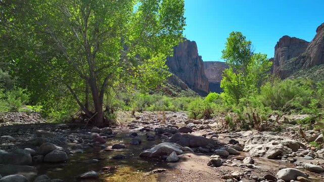 Aerial view of bright green trees and distant mountains along the Apache Trail under a clear blue sky, Apache Junction, Arizona, United States.