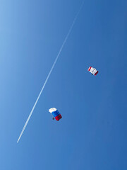 parachutes in the sky. Skydiving, view from the ground